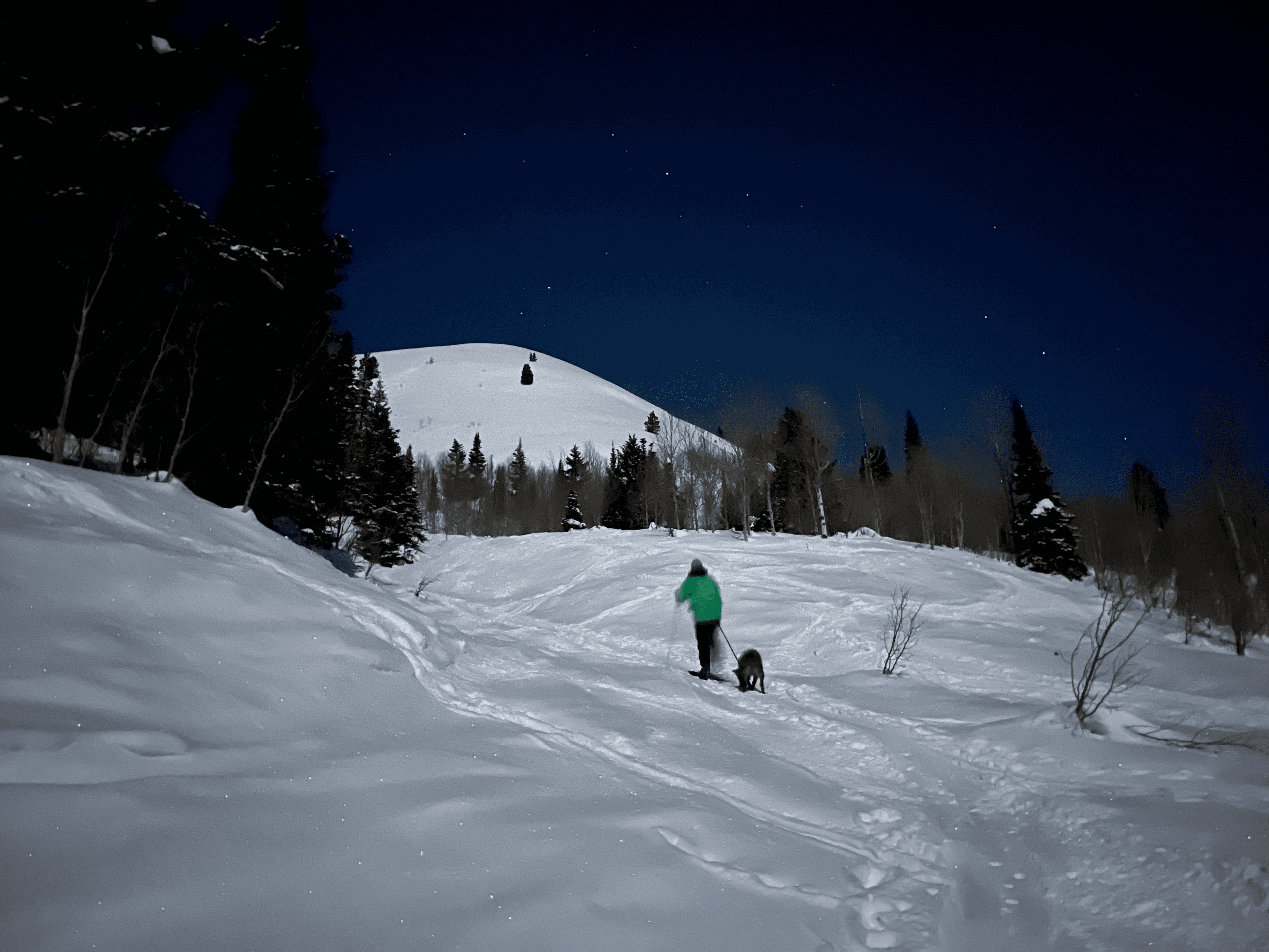 Aspen Grove (full moon tour @1am)